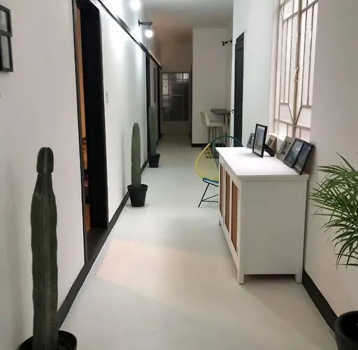 Homestay C4 En Condesa Amsterdam Mexico City